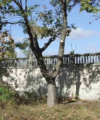 Прикрепленное изображение: 001.jpg